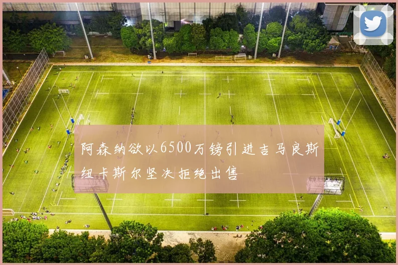 阿森纳欲以6500万镑引进吉马良斯纽卡斯尔坚决拒绝出售
